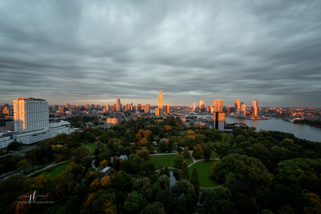 Skyline van Rotterdam