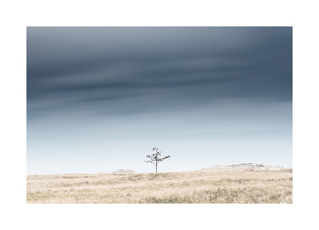 De wachter van de vlakte