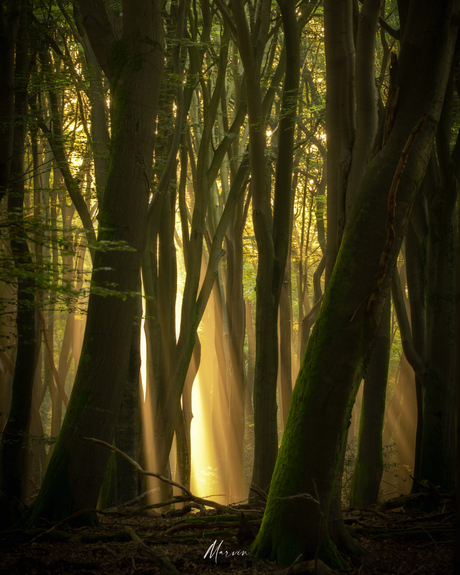 Light & shadow