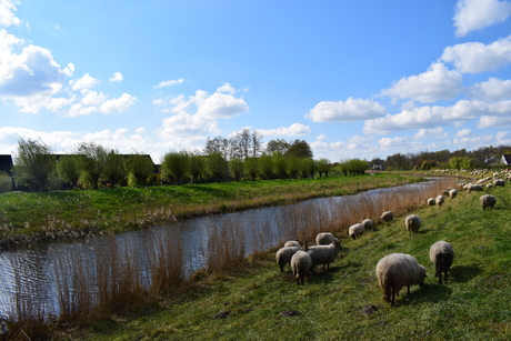 Schapendijkje Drachten