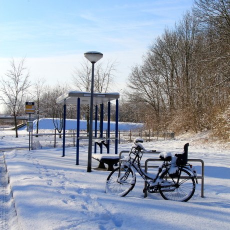 20130210_Winter in Almere_(eenzame fiets).jpg