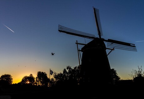 Molen