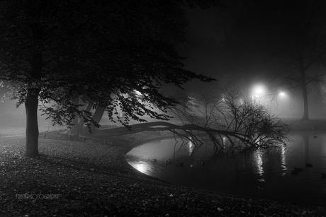 park in de mist