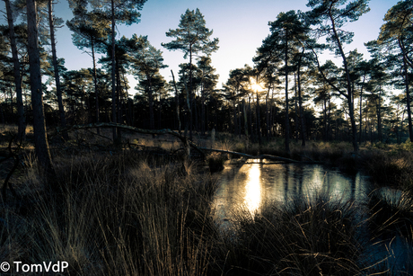 Zonsondergang heide