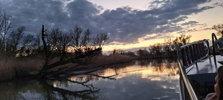 De Biesbosch Dordrecht