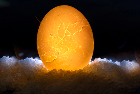 wit ei creatieve workshop zoom akademy