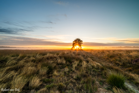 Zonsopkomst 