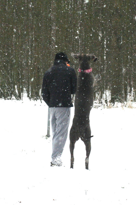 samen wandelen door de sneeuw