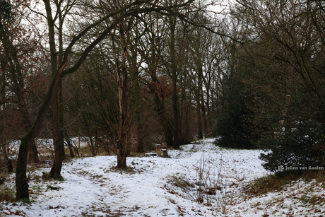 Met de neus in de winter vallen...