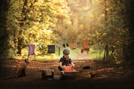 nostalgie in het bos