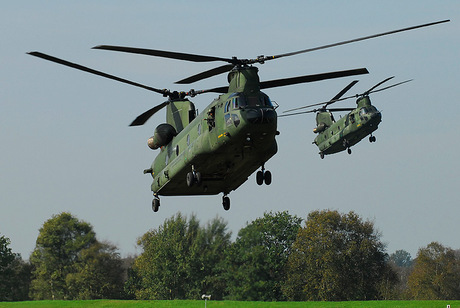 Chinook D-103