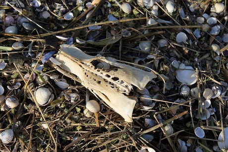 Wat was het ooit.............