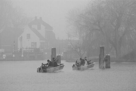 Vissen in de mist