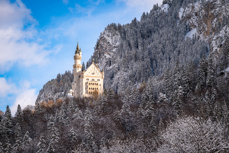 Schloss Neuschwanstein 