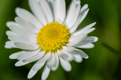 #summermacro