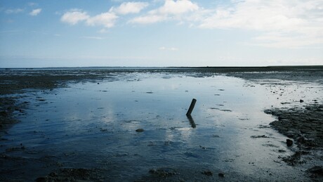 Low tide