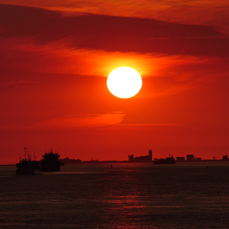 Scheepvaart op de westerschelde