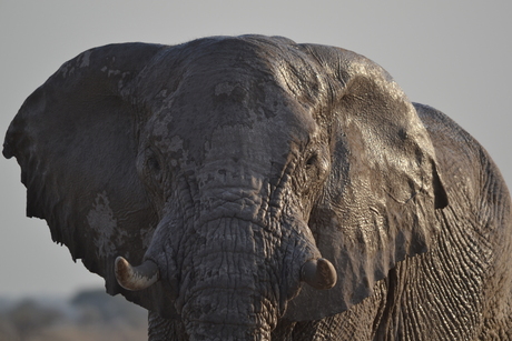 Botswana