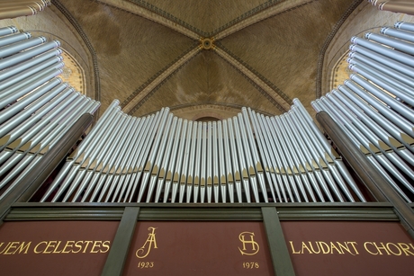 Sint Bavo Basiliek 16