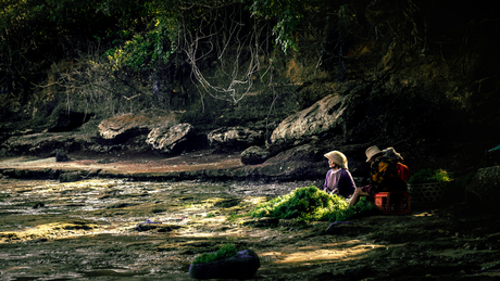 Zeewierboerderijen op Nusa Lembongan