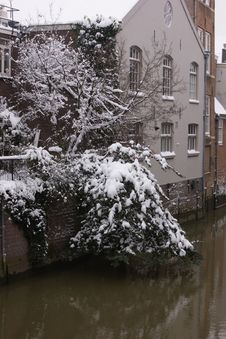 winter in Dordrecht