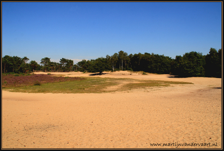 Zandvlakte in Bakkeveen