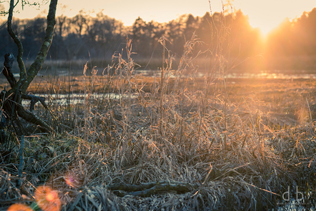 Bitter cold sunset