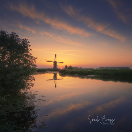 Sunrise 