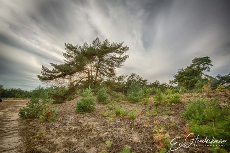 Kootwijkerzand