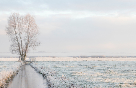 Winterlandschap