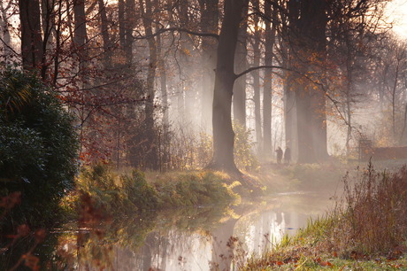 Heilooerbos