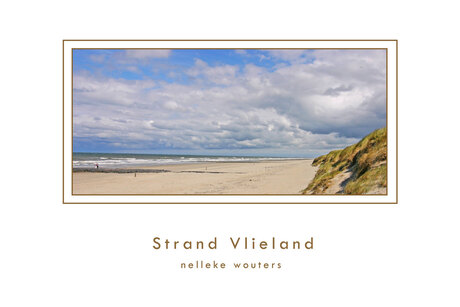 Strand Vlieland