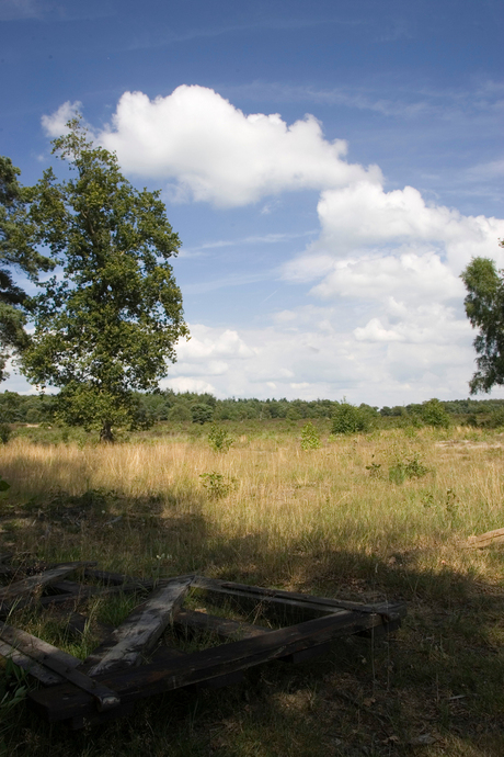 Bakkeveense heide