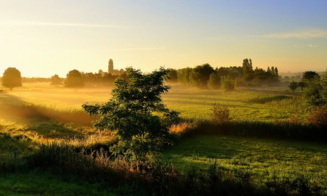 In het licht