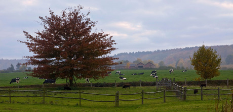 Boerderij Zuid-Limburg