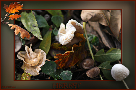 Herfst...