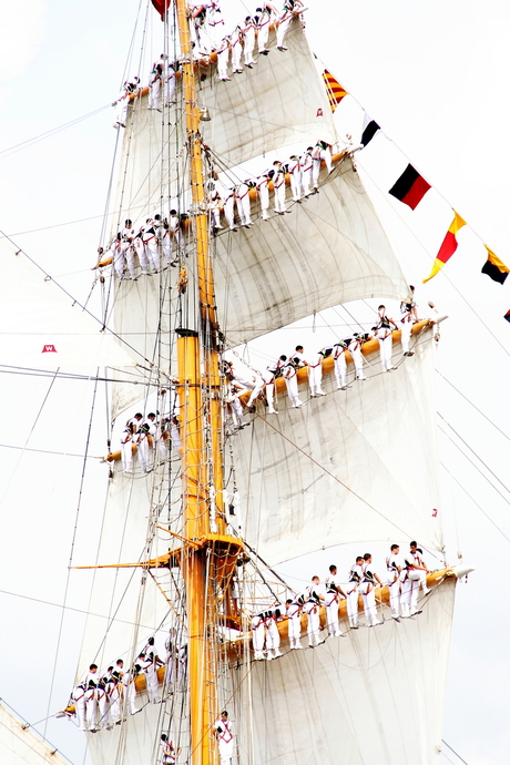 Sail 2015