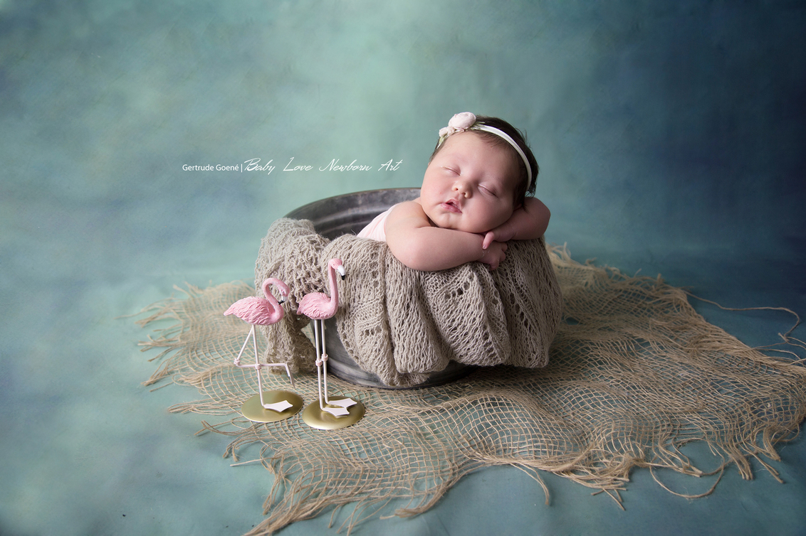 Lua - Kleine Lua van 2 weekjes - foto door GertrudeGoene op 03-11-2019 - deze foto bevat: baby, meisje, studio, newborn
