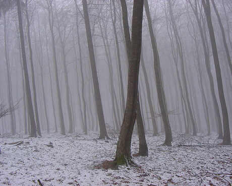 Volg jouw eigen groei