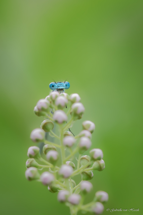 Hi!!!