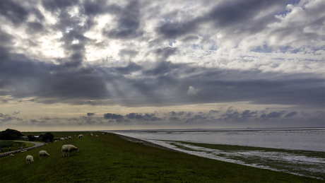 Wat wad 