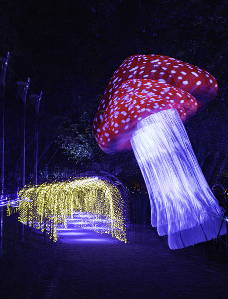 Luminate Hasselt 2025