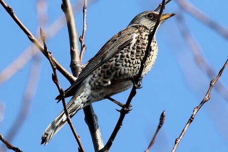 eenzaam en alleen....