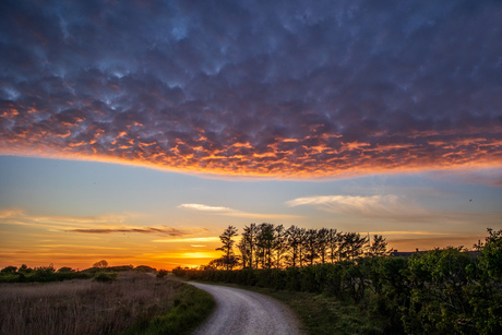 De weg naar het avondlicht