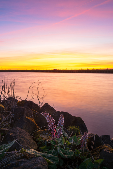 Zonsondergang Eemskanaal