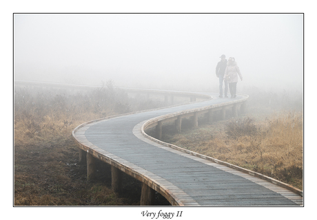 Very foggy II