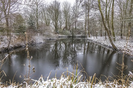Winter doorkijk