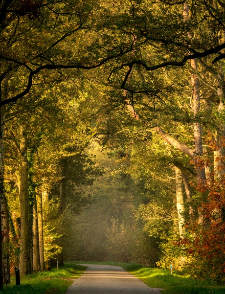 Herfst in aantocht