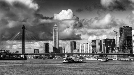 Cloudy Rotterdam