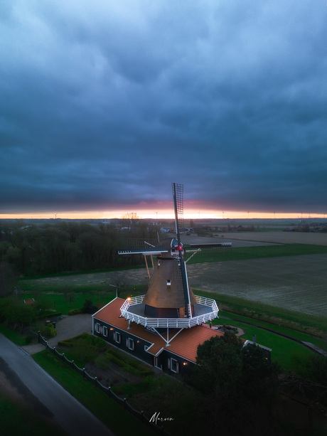 Molen de leeuw